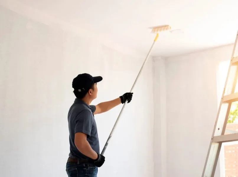 WHOLE HOME REPAINTING Every Room, Ceiling to Floor